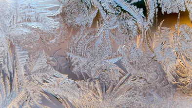 В Астане некоторых школьников отправили на удаленку