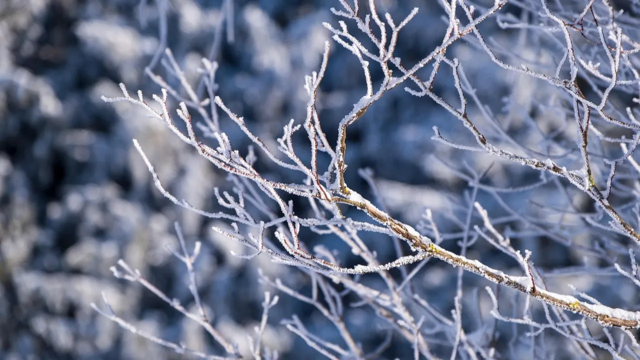 Прогноз погоды на 26 января в казахстанских мегаполисах фото на taspanews.kz от 26 января 2026 08:39