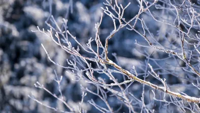 Прогноз погоды на 26 января в казахстанских мегаполисах