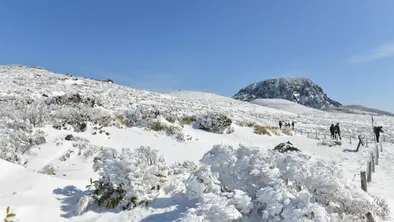 Туристов спасли в горах Алматы: одна из пострадавших получила травму головы