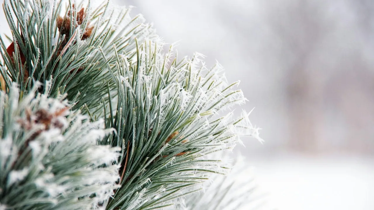 Погода в Астане, Алматы и Шымкенте сегодня фото на taspanews.kz от 27 января 2026 08:36