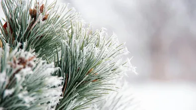 Погода в Астане, Алматы и Шымкенте сегодня