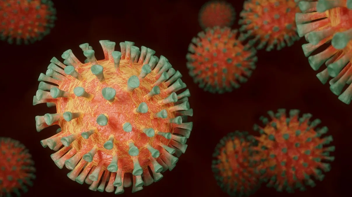 ВОЗ прокомментировала неизвестный вирус Нипах из Индии фото на taspanews.kz от 27 января 2026 16:50