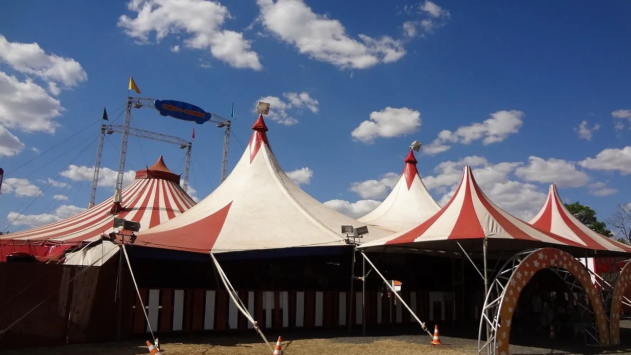 Временно в Алматы вместо цирка будет шапито фото на taspanews.kz от 28 января 2026 13:06