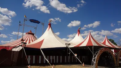 Временно в Алматы вместо цирка будет шапито