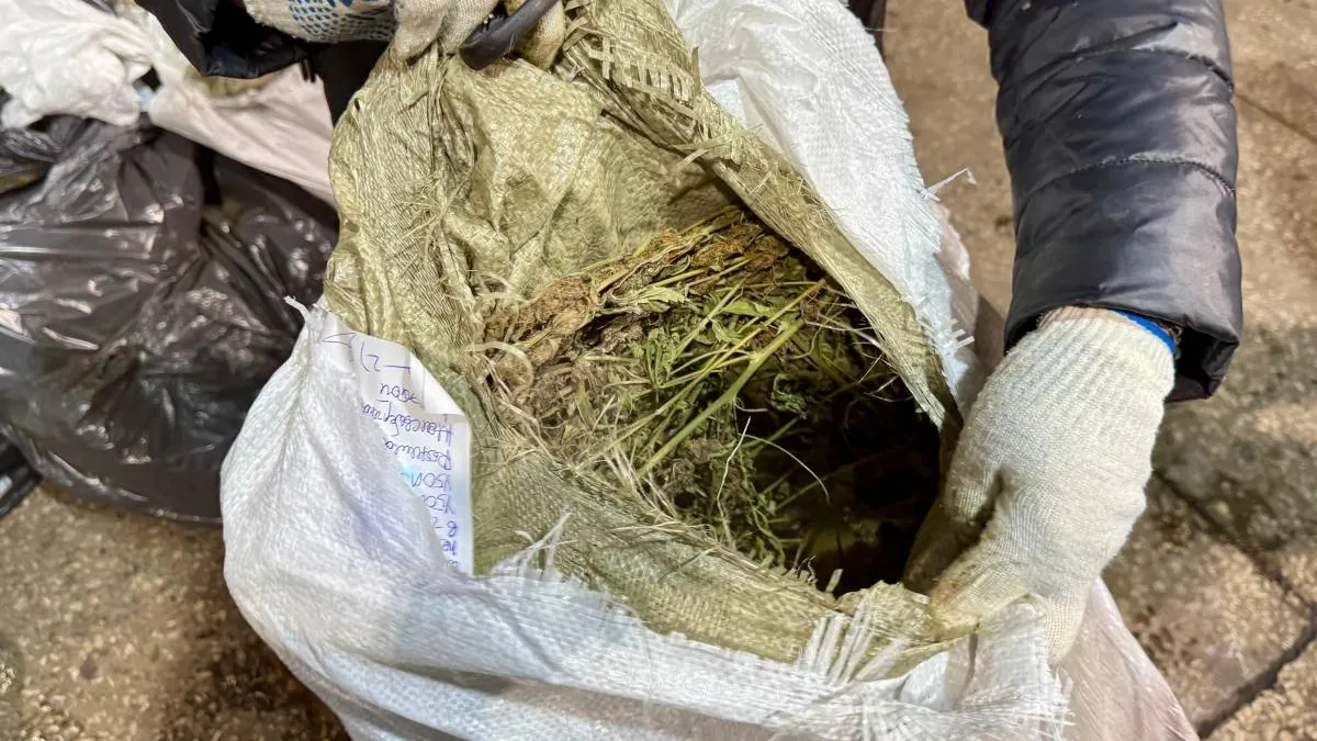 В Павлодаре полиция изъяла более 40 кг наркотиков фото на taspanews.kz от 29 января 2026 11:06