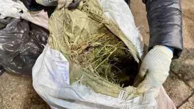 В Павлодаре полиция изъяла более 40 кг наркотиков