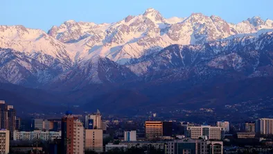 В Алматы вырубят деревья для строительства моста