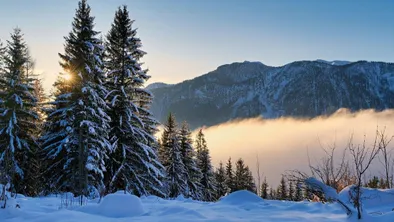 2 февраля: прогноз погоды в Астане, Алматы и Шымкенте