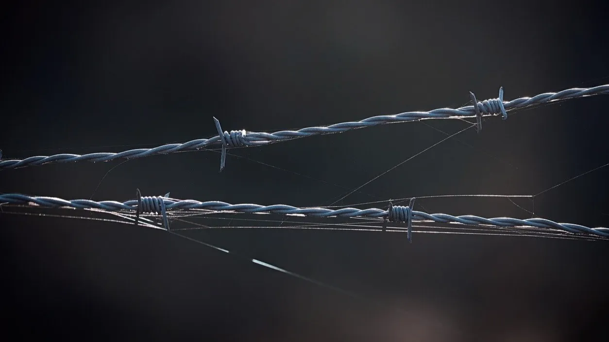 В Алматинской области задержали гражданина Таджикистана, подозреваемого в тяжких преступлениях фото на taspanews.kz от 04 февраля 2026 11:43