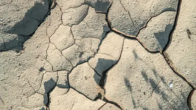 Жители Жетысуской области сообщают о землетрясении