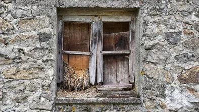 В Алматинской области в частном доме нашли тела четверых людей