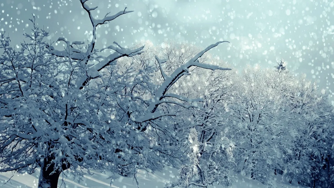 Дождь со снегом обещают синоптики в мегаполисах сегодня фото на taspanews.kz от 06 февраля 2026 09:03