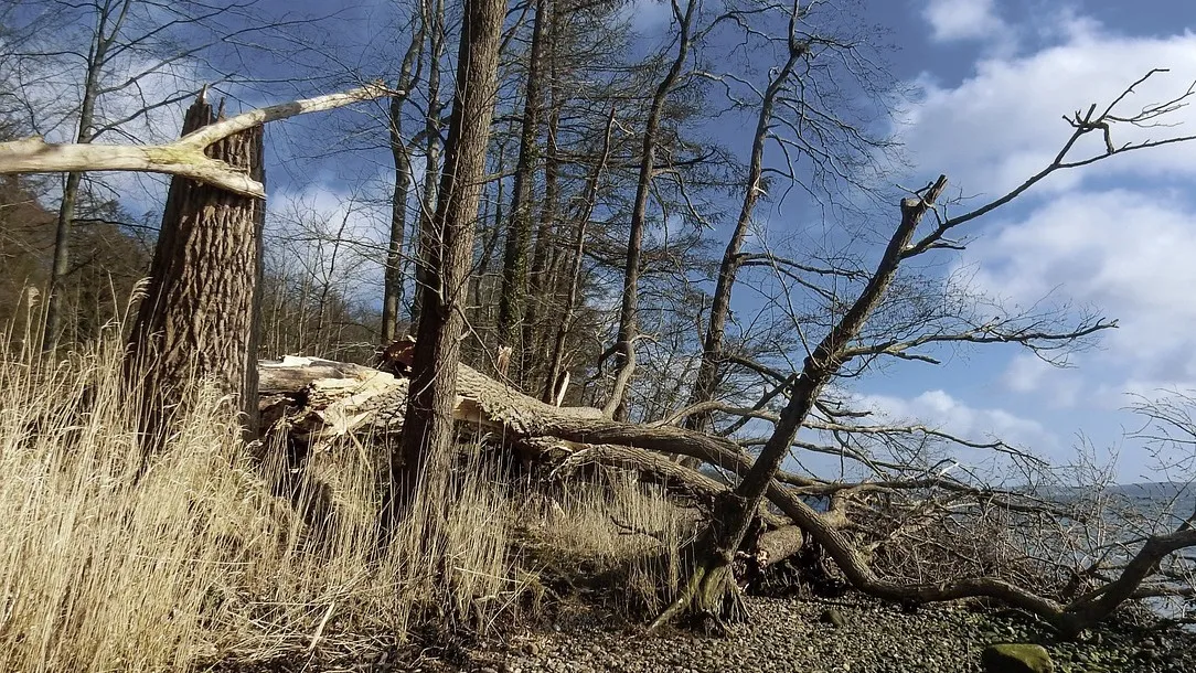 В Жамбылской области ураган напугал местных жителей фото на taspanews.kz от 06 февраля 2026 12:17