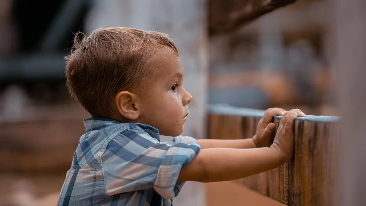 Закиева: "Каждый день в Казахстане совершается минимум пять преступлений против детей" фото на taspanews.kz от 09 февраля 2026 09:20