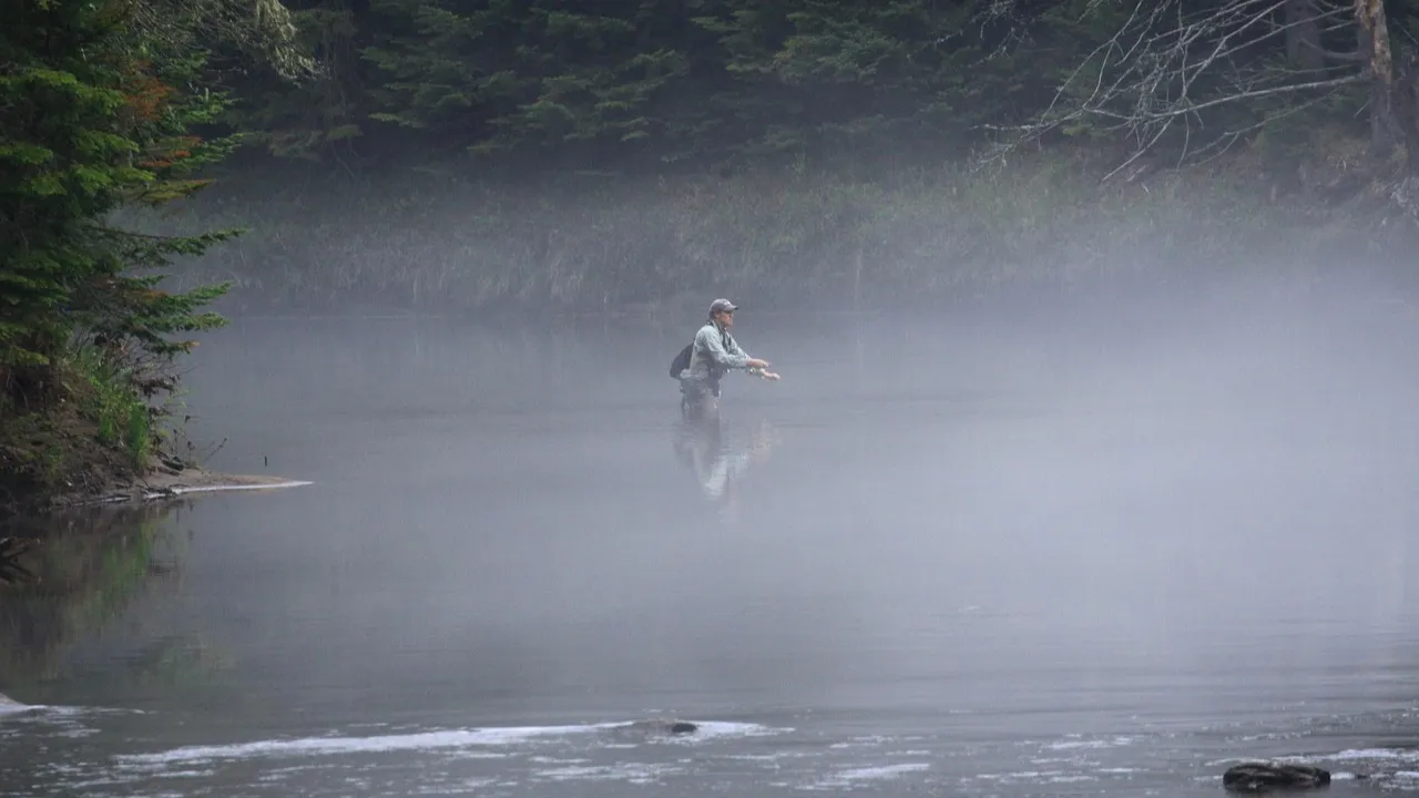 В Шымкенте расследуют гибель 900 кг рыбы из-за загрязнения водоема фото на taspanews.kz от 11 февраля 2026 08:52