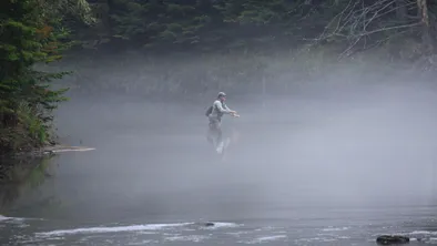 В Шымкенте расследуют гибель 900 кг рыбы из-за загрязнения водоема