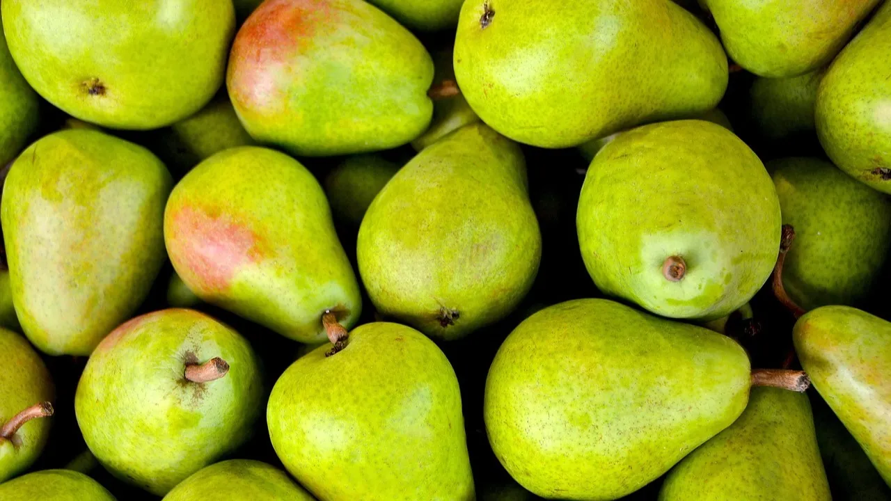 На границе с Казахстаном развернули большую партию бельгийских груш фото на taspanews.kz от 13 февраля 2026 09:46