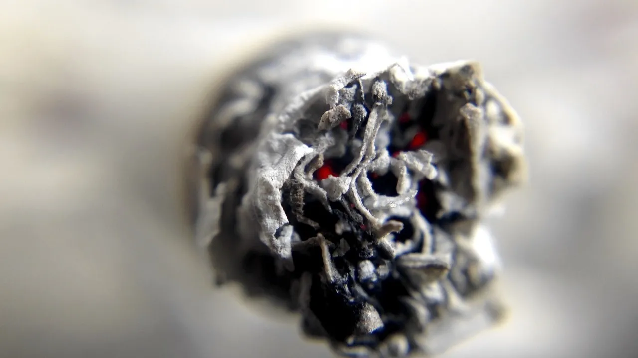 Мафию снюса разоблачили в Туркестанской области  фото на taspanews.kz от 17 февраля 2026 10:31