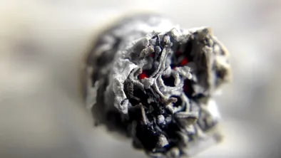 Мафию снюса разоблачили в Туркестанской области 