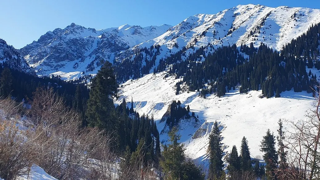 В Алматы не будут строить новые спортивные объекты к Азиаде-2029 фото на taspanews.kz от 19 февраля 2026 13:02