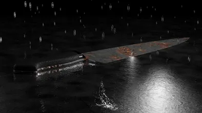 Житель Костанайской области получил пожизненное наказание за убийство жены и сына