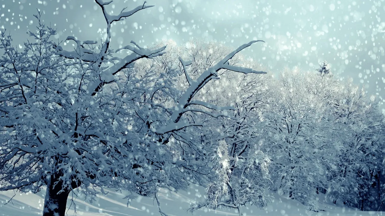 Снова непогода в Астане: предупреждение от акимата фото на taspanews.kz от 23 февраля 2026 08:45