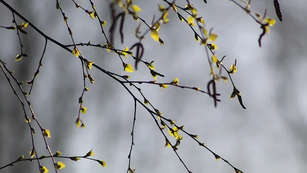 График весенних каникул опубликовали в Минпросвещения