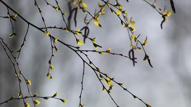 График весенних каникул опубликовали в Минпросвещения