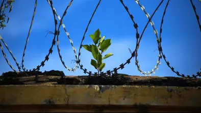 МВД предложило разрешить некоторым осужденным использовать смартфоны