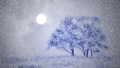 В Астане некоторых школьников отправили на удаленку