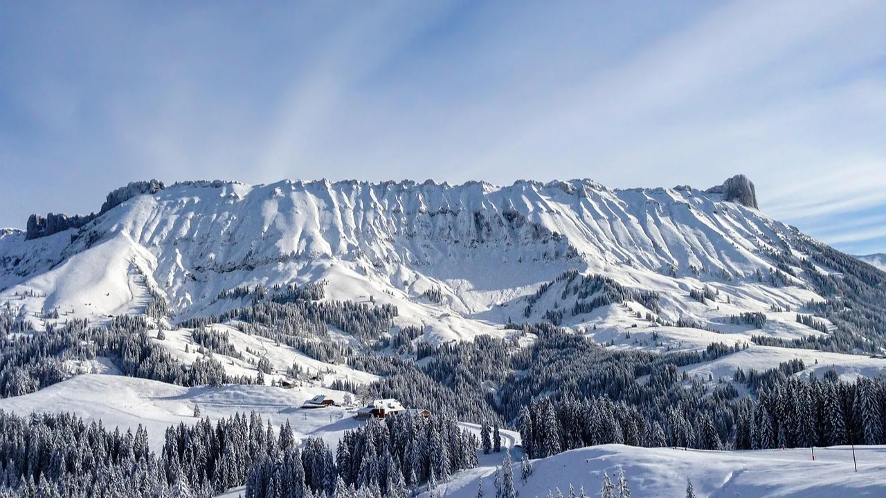 В горах Алматы ночью застрял автобус с туристами фото на taspanews.kz от 03 марта 2026 08:52