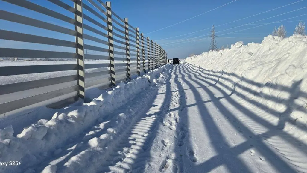 Инновационную снегозащитную конструкцию испытали в Акмолинской области фото на taspanews.kz от 05 марта 2026 10:31