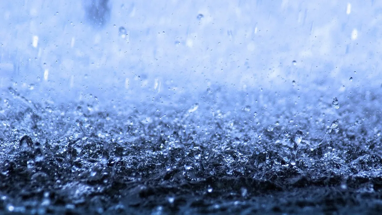 В Семее акимат круглосуточно борется с дождем фото на taspanews.kz от 10 марта 2026 10:15