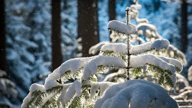 В Астане часть школьников отправили на удаленку