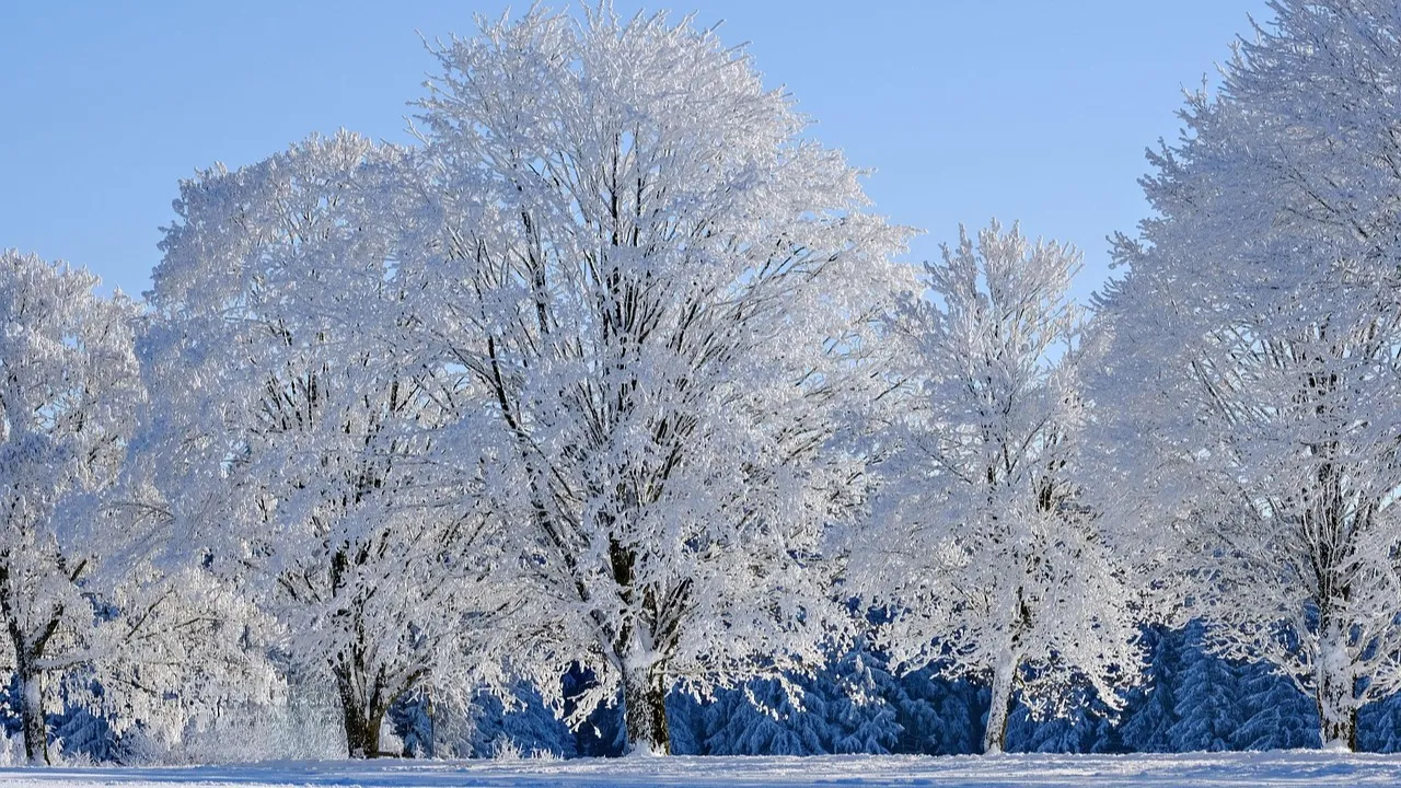 На трассе Астана - Караганда спасли 17 человек фото на taspanews.kz от 11 марта 2026 08:38