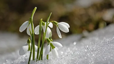 Весна наберет обороты: в Казахстане обещают потепление
