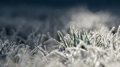 Мужчина замерз насмерть в Павлодарской области