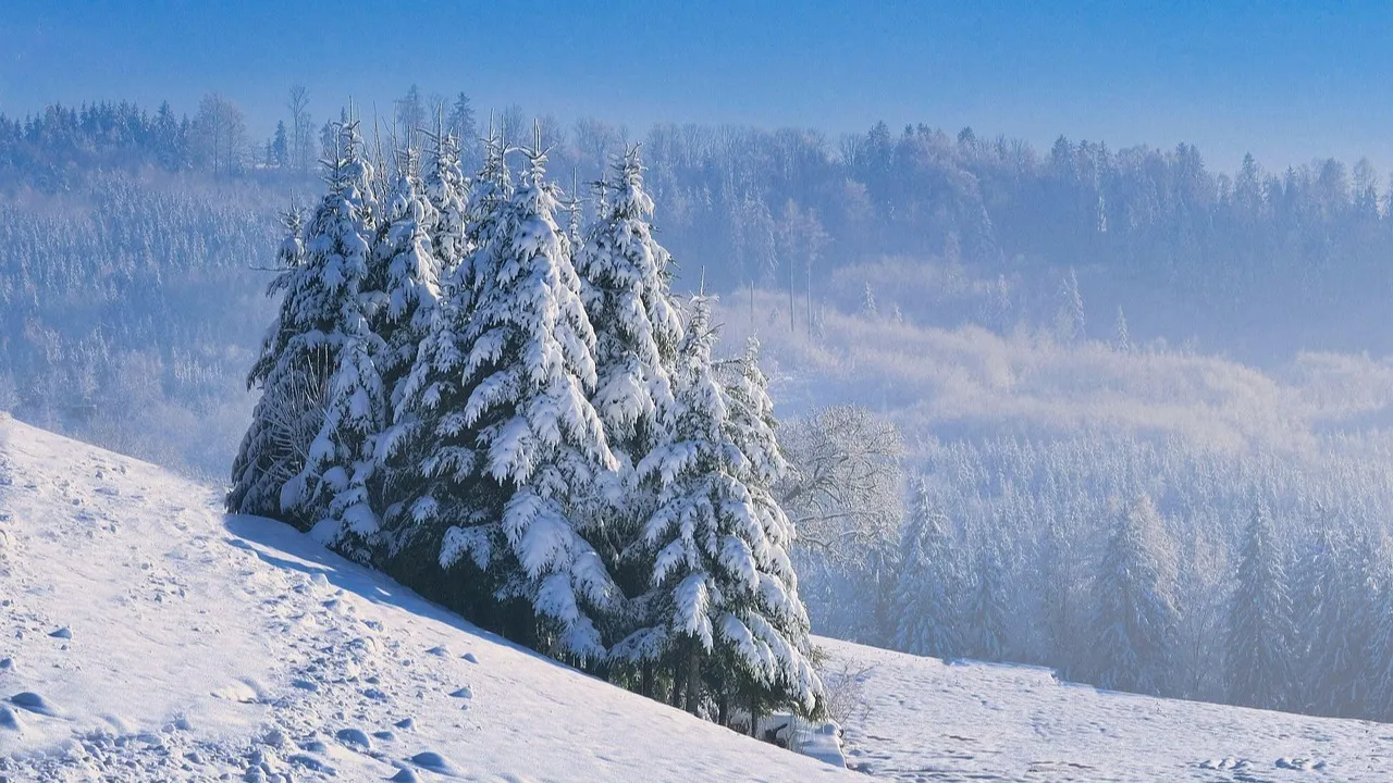 В Астане снег, в Алматы и Шымкенте без осадков: прогноз погоды на сегодня фото на taspanews.kz от 12 марта 2026 09:08