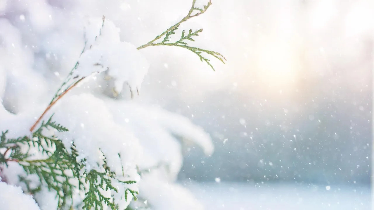 13 марта, пятница: прогноз погоды в Алматы, Астане и Шымкенте фото на taspanews.kz от 13 марта 2026 09:05