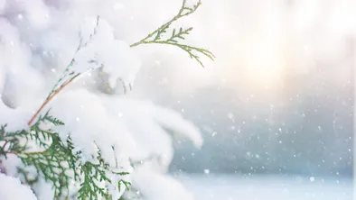 13 марта, пятница: прогноз погоды в Алматы, Астане и Шымкенте