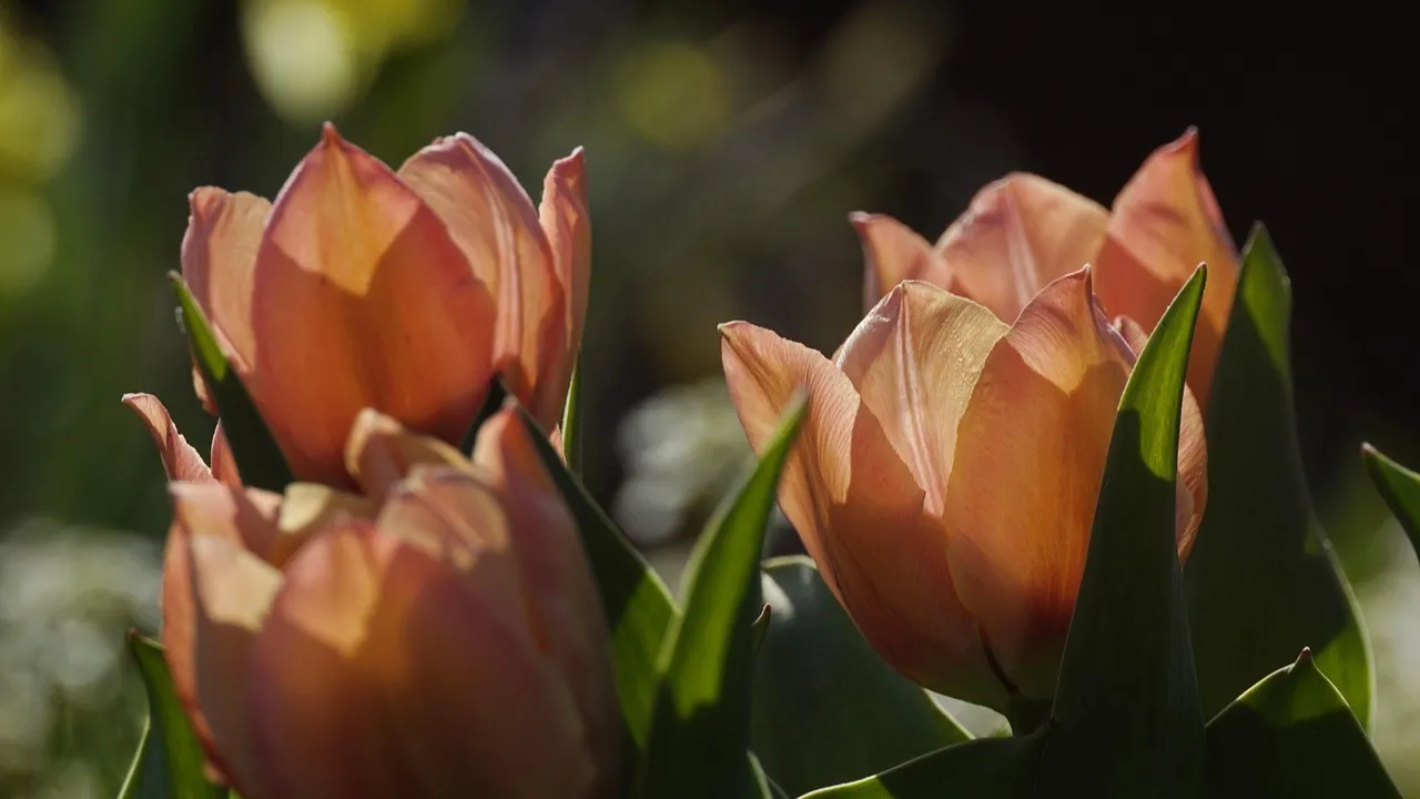 На выходных в Казахстане потеплеет фото на taspanews.kz от 13 марта 2026 12:03