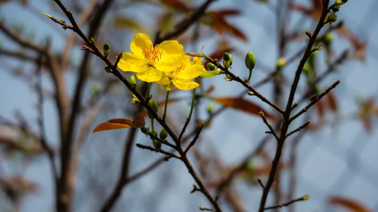 Погода на сегодня в Астане, Алматы и Шымкенте фото на taspanews.kz от 16 марта 2026 08:54