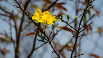 Погода на сегодня в Астане, Алматы и Шымкенте