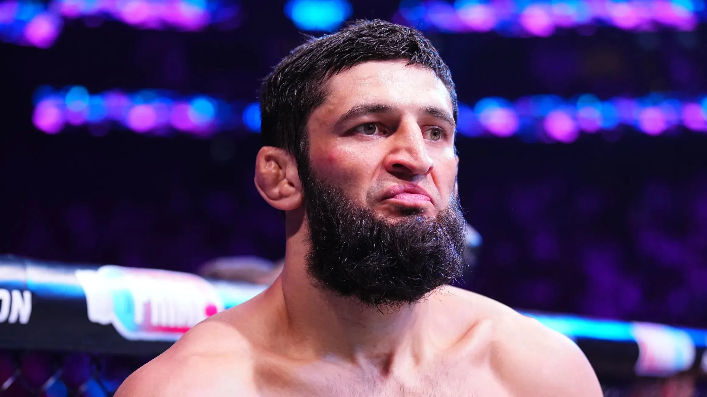 Необычная мотивация Чимаева перед UFC 328: зачем он платит за удушающие приемы фото на taspanews.kz от 17 марта 2026 14:29