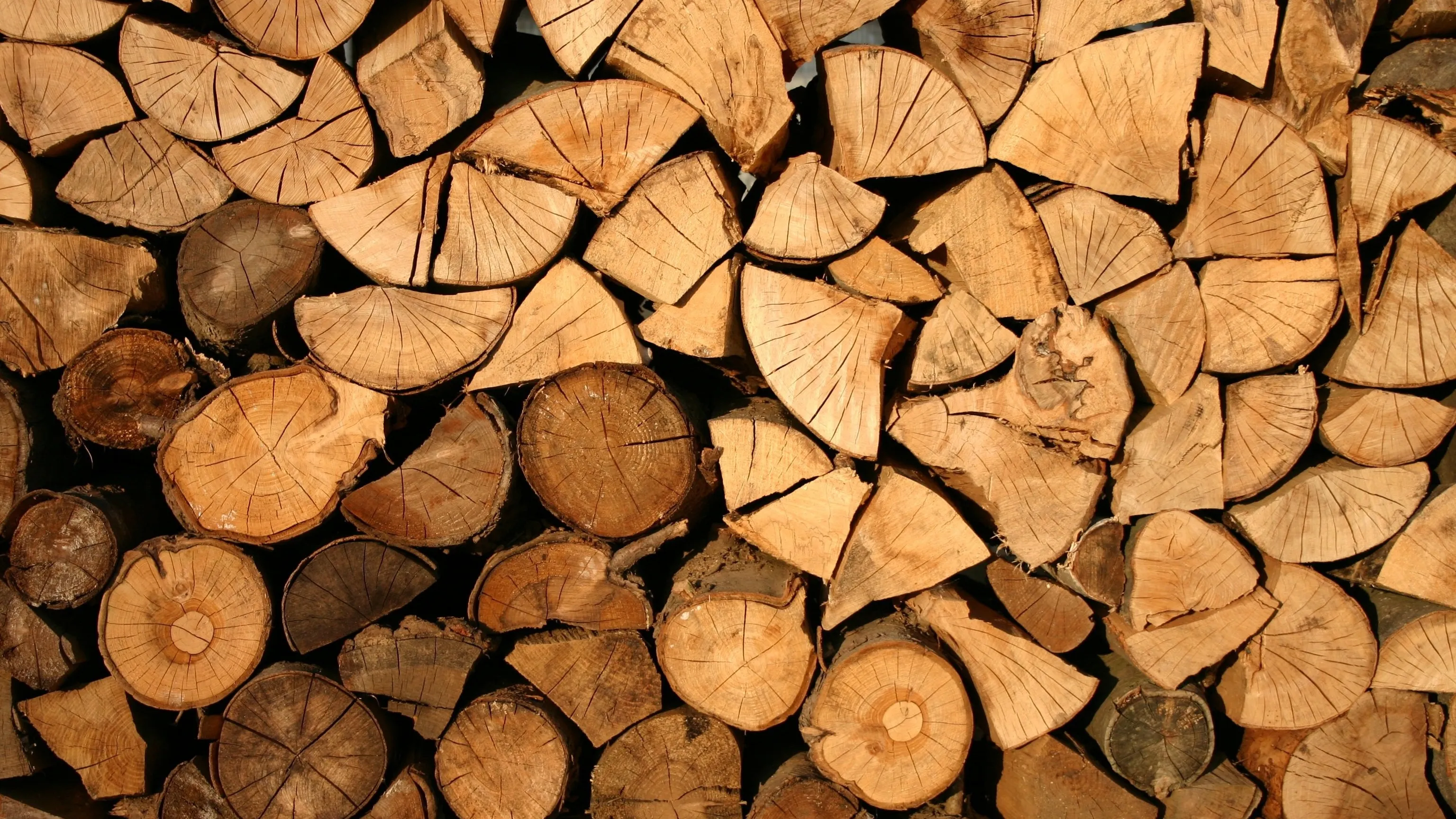 Полиция Алматинской области расследует дело об избиении подростка в бане фото на taspanews.kz от 17 марта 2026 12:34