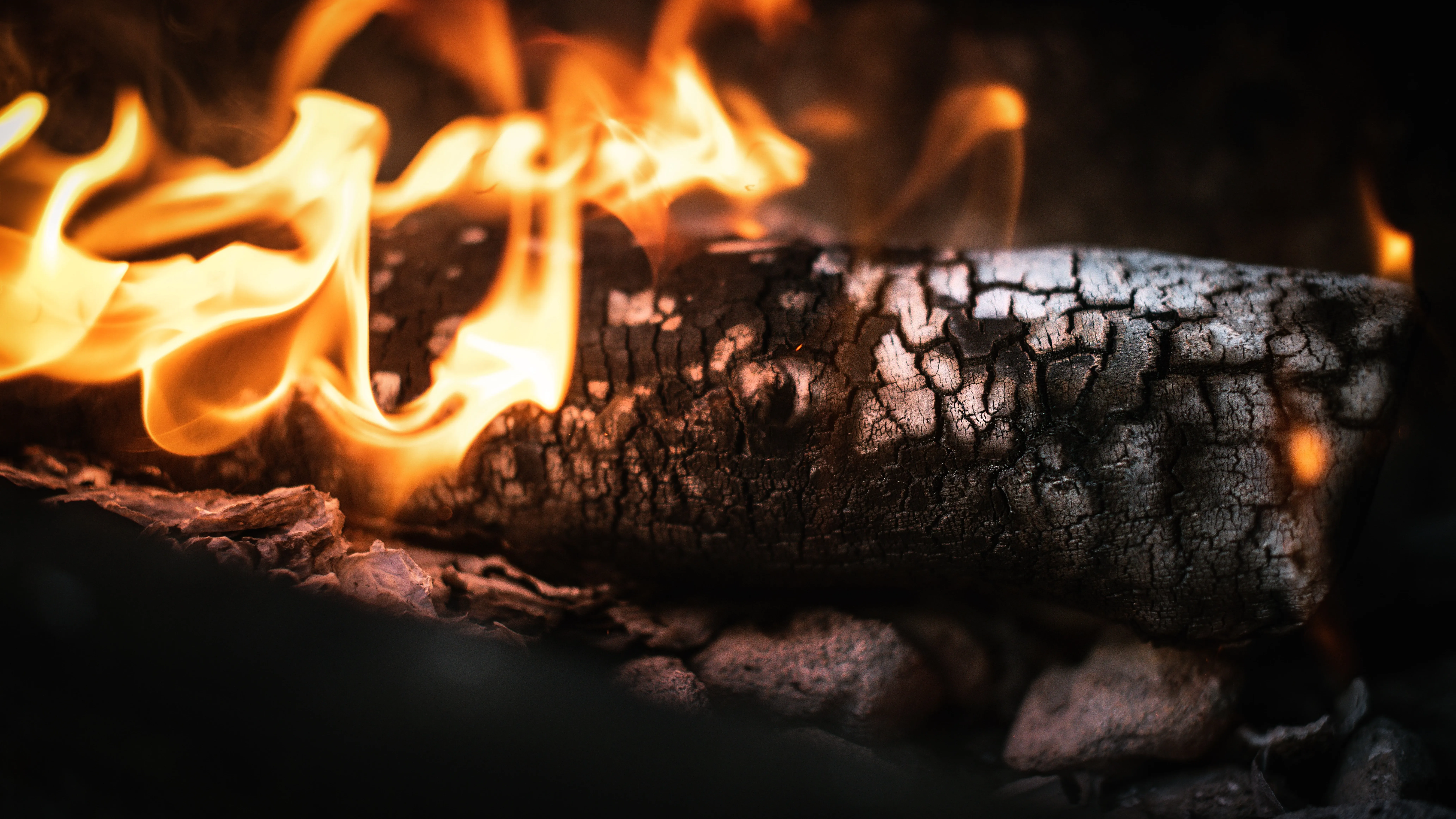 В Алматы пожарные тушат огонь в автосервисе фото на taspanews.kz от 18 марта 2026 11:27