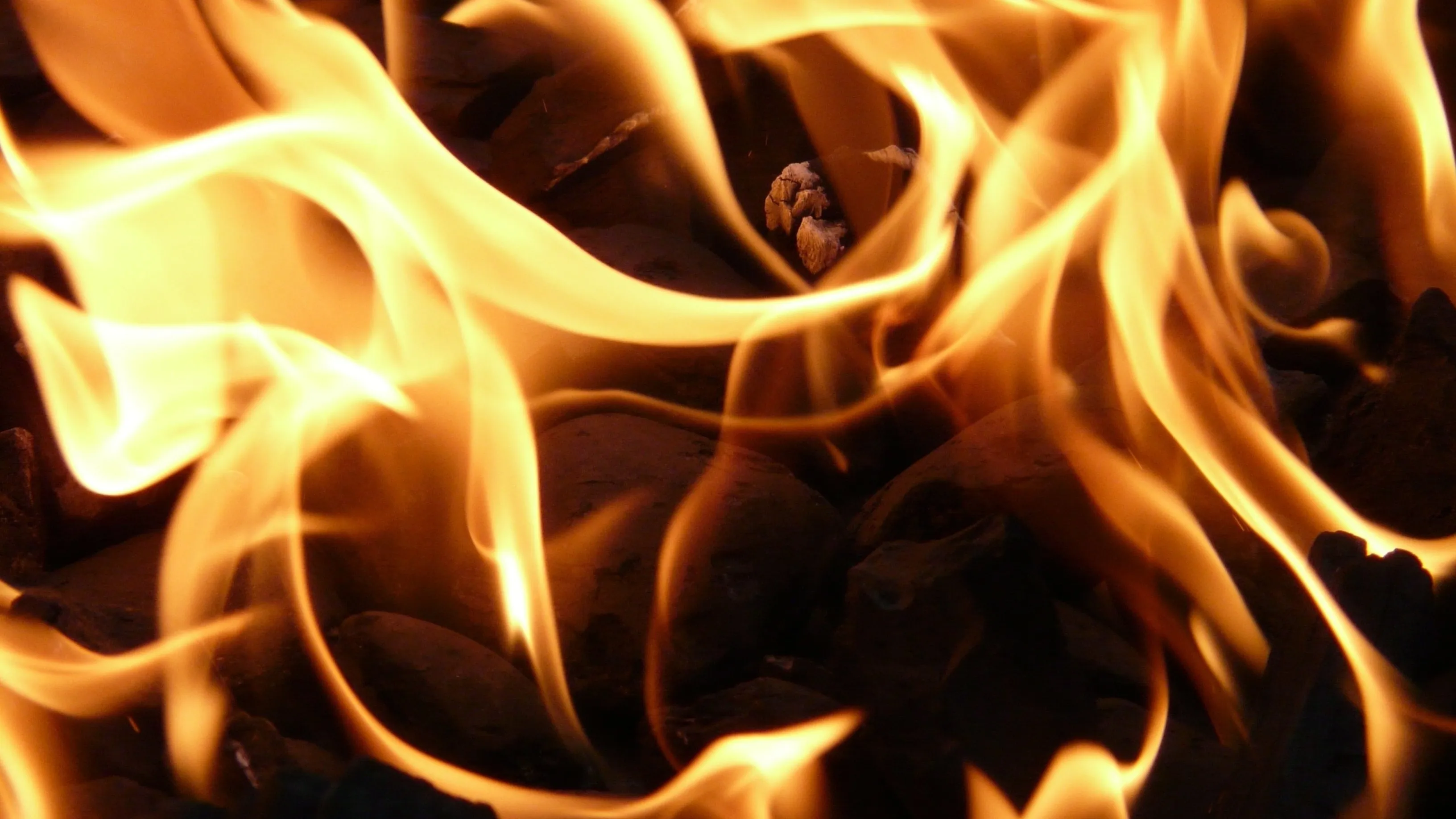 В Усть-Каменогорске едва удалось предотвратить взрыв в шашлычной фото на taspanews.kz от 19 марта 2026 08:38