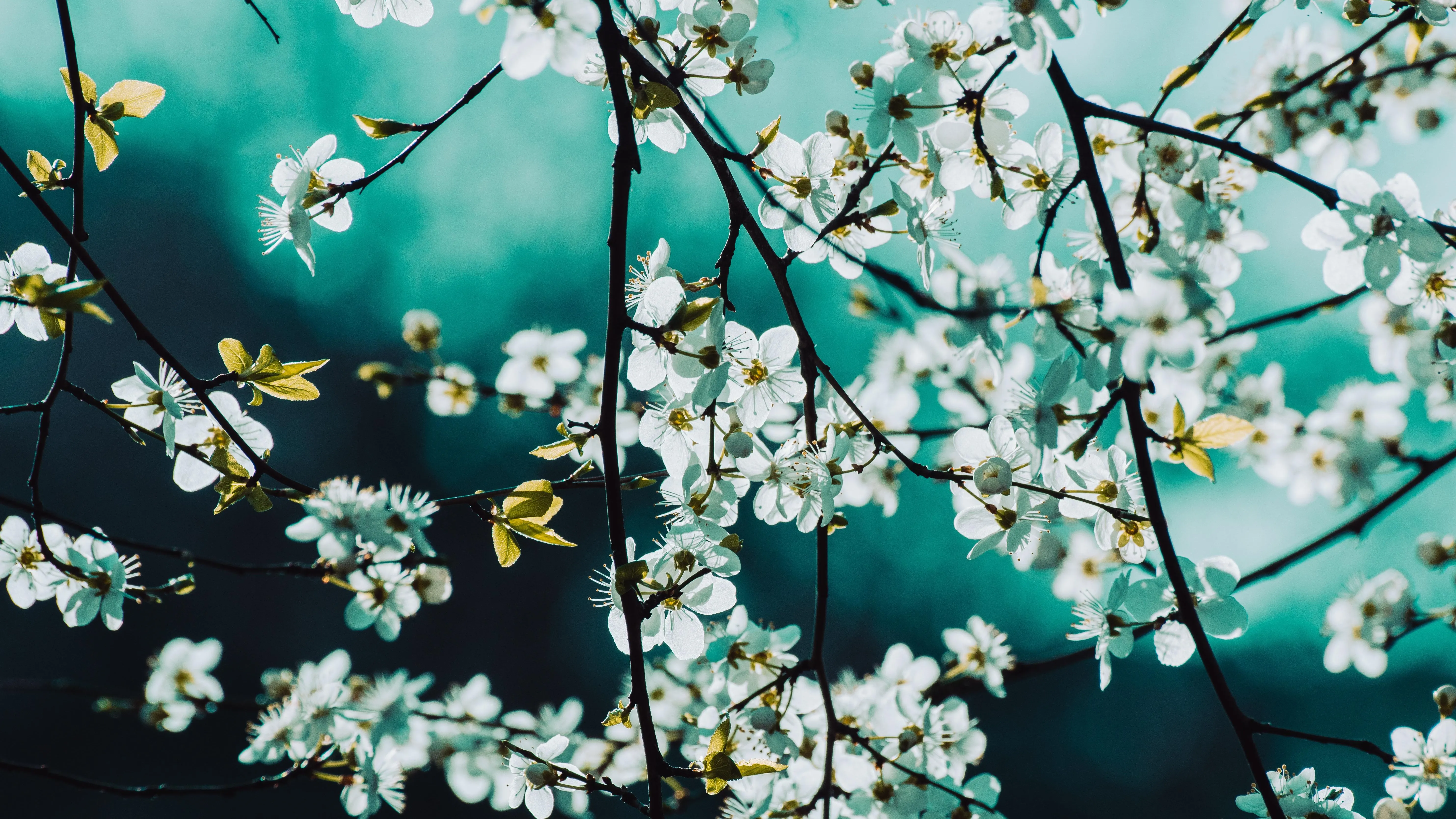 Представлен график работы ЦОН-ов на праздник фото на taspanews.kz от 20 марта 2026 14:00