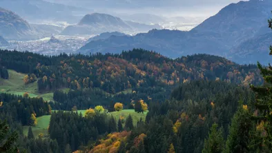 Туристку из России спасли в горах Алматы